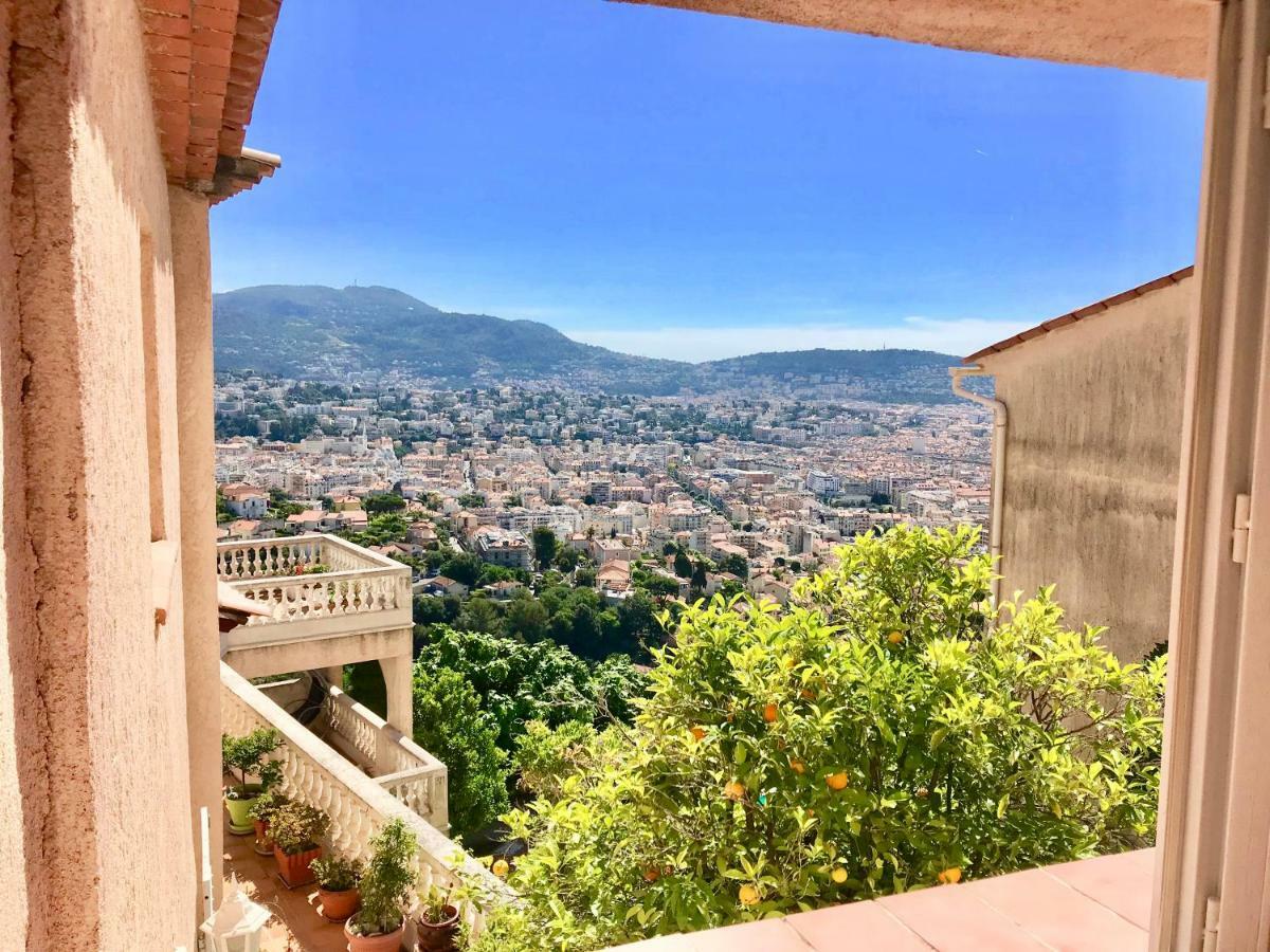 L'alivu Nizza